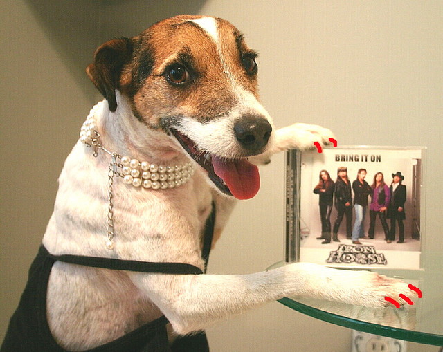 This is my favorite CD!