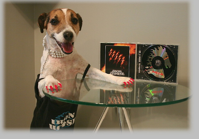 Step right up and buy your CDs!